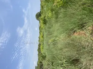Beach Plot Number Two for Sale Mwongozo Kigamboni