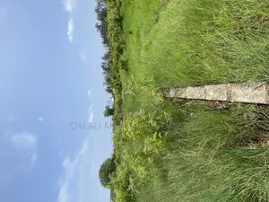 Beach Plot Number Two for Sale Mwongozo Kigamboni