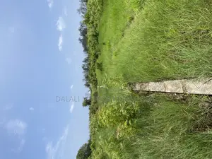 Beach Plot Number Two for Sale Mwongozo Kigamboni
