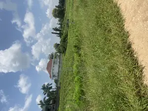 Beach Plot Number Three for Sale Mwongozo Kigamboni