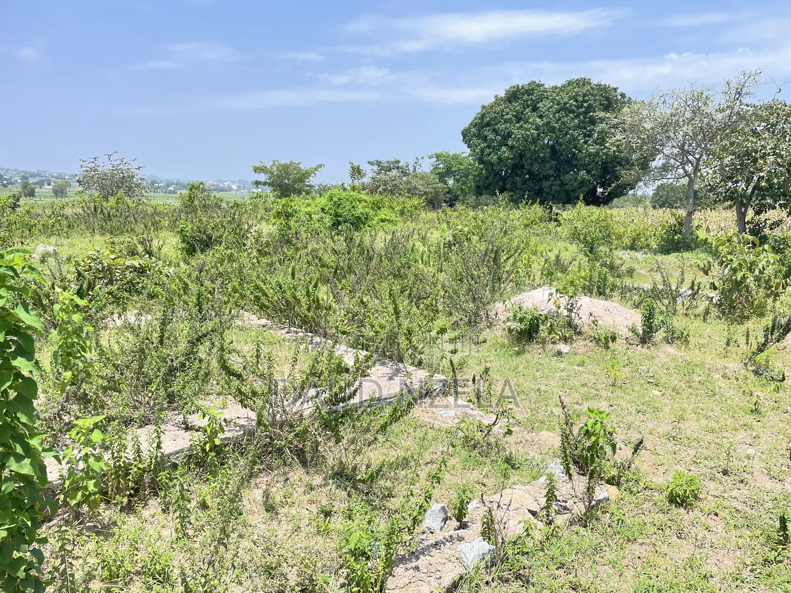 Viwanja Vinauzwa Mwanza Vya Makazi