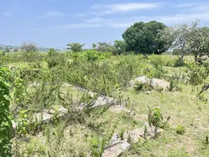 Viwanja Vinauzwa Mwanza Vya Makazi