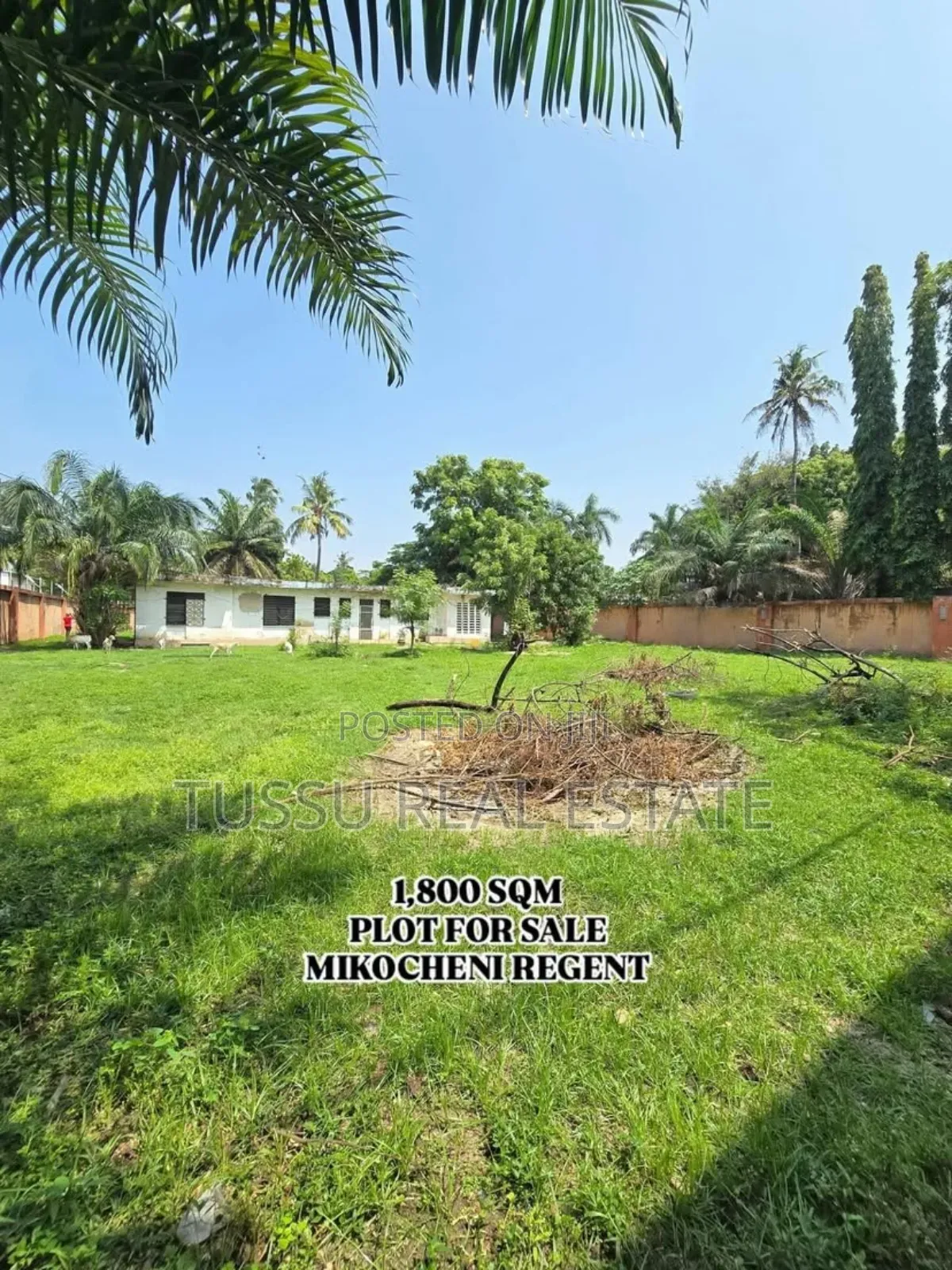 Prime Plot for Sale Regent Estate Mikochen