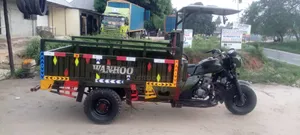 TVS 2025 Green