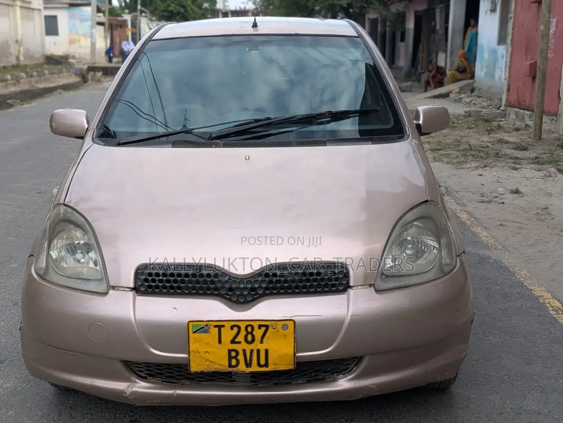 Toyota Vitz 2005 Pink
