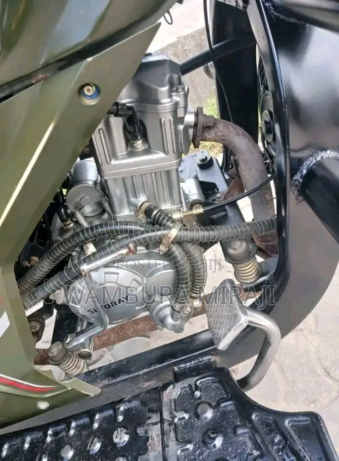 Bajaj Avenger 220 Street 2025 Green