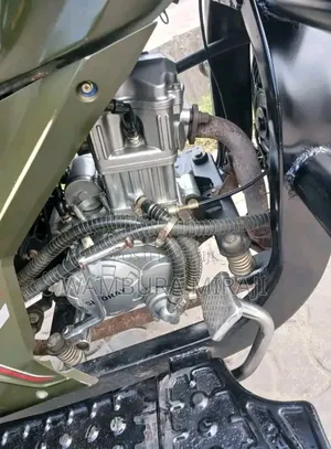 Bajaj Avenger 220 Street 2025 Green