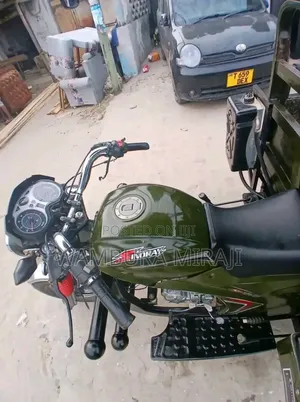 Bajaj Avenger 220 Street 2025 Green