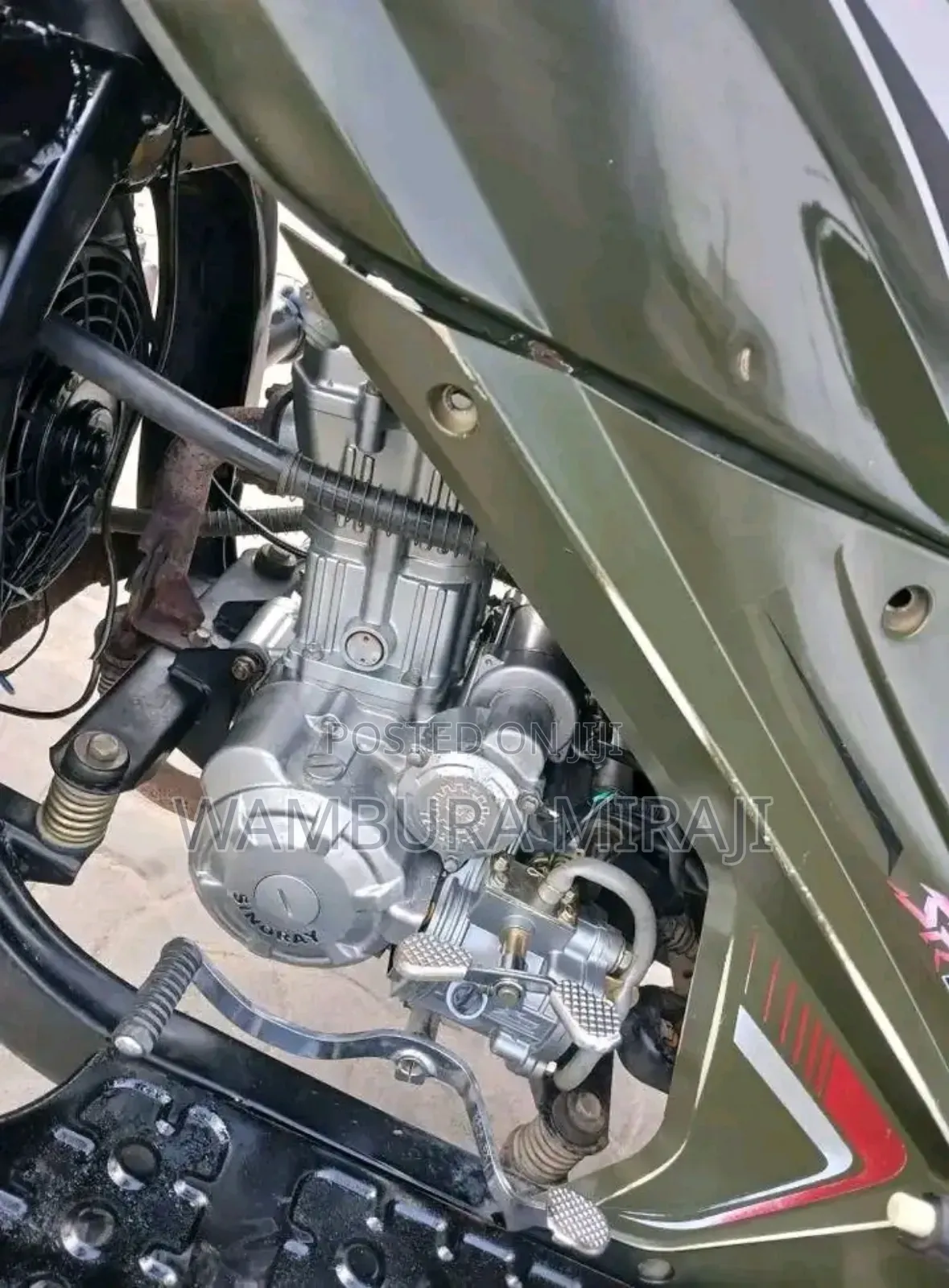 Bajaj Avenger 220 Street 2025 Green