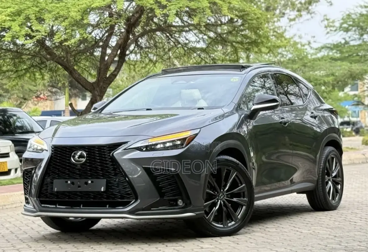 Lexus NX 2024 Gray