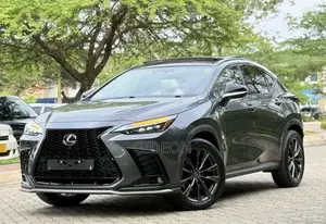 Lexus NX 2024 Gray