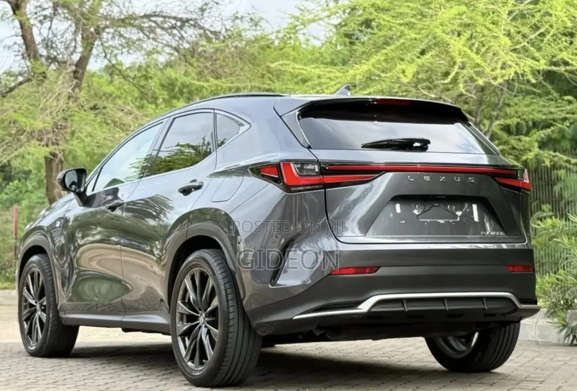 Lexus NX 2024 Gray