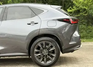 Lexus NX 2024 Gray