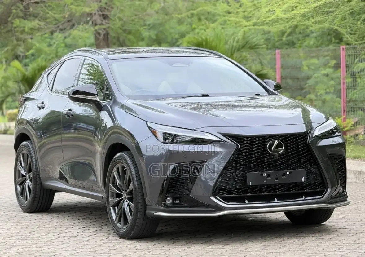 Lexus NX 2024 Gray