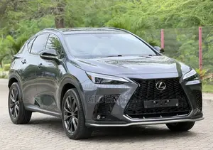 Lexus NX 2024 Gray