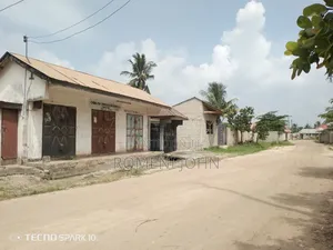 Fremu 3 Za Kibiashara Zinauzwa Milioni 9.5 Gongolamboto Majohe Rada.