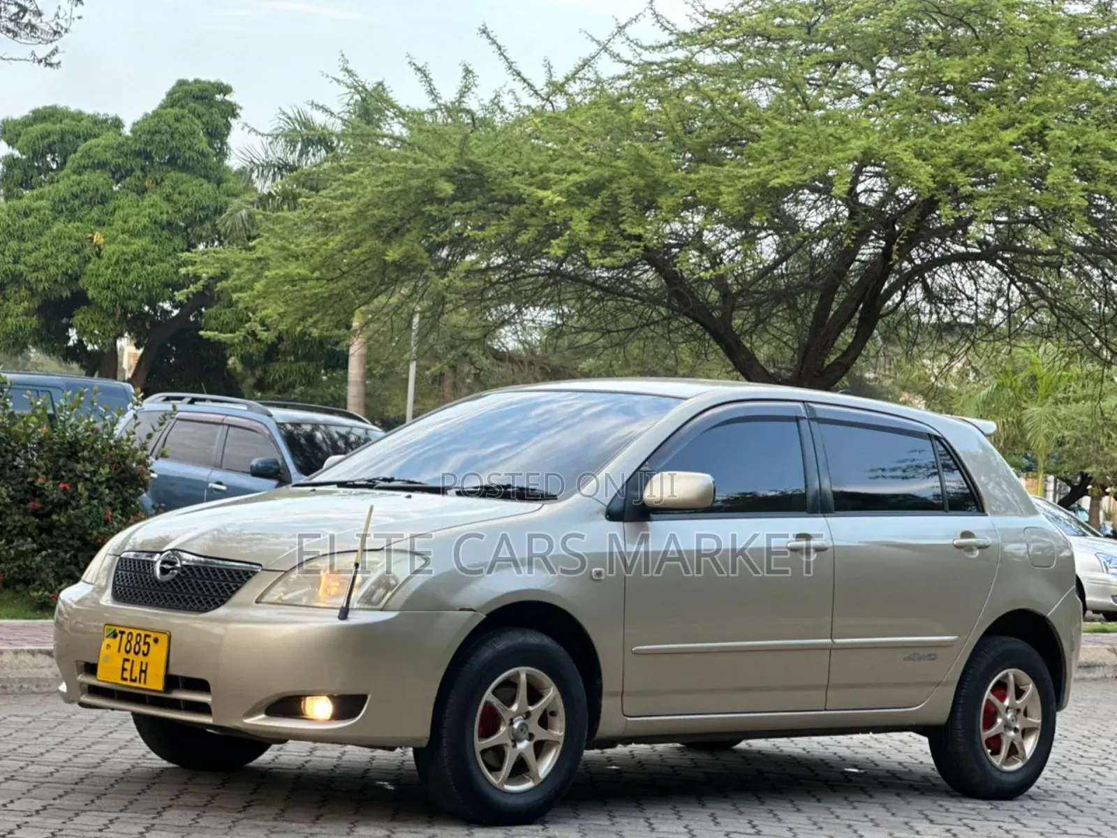 Toyota Corolla RunX 2004 Gold