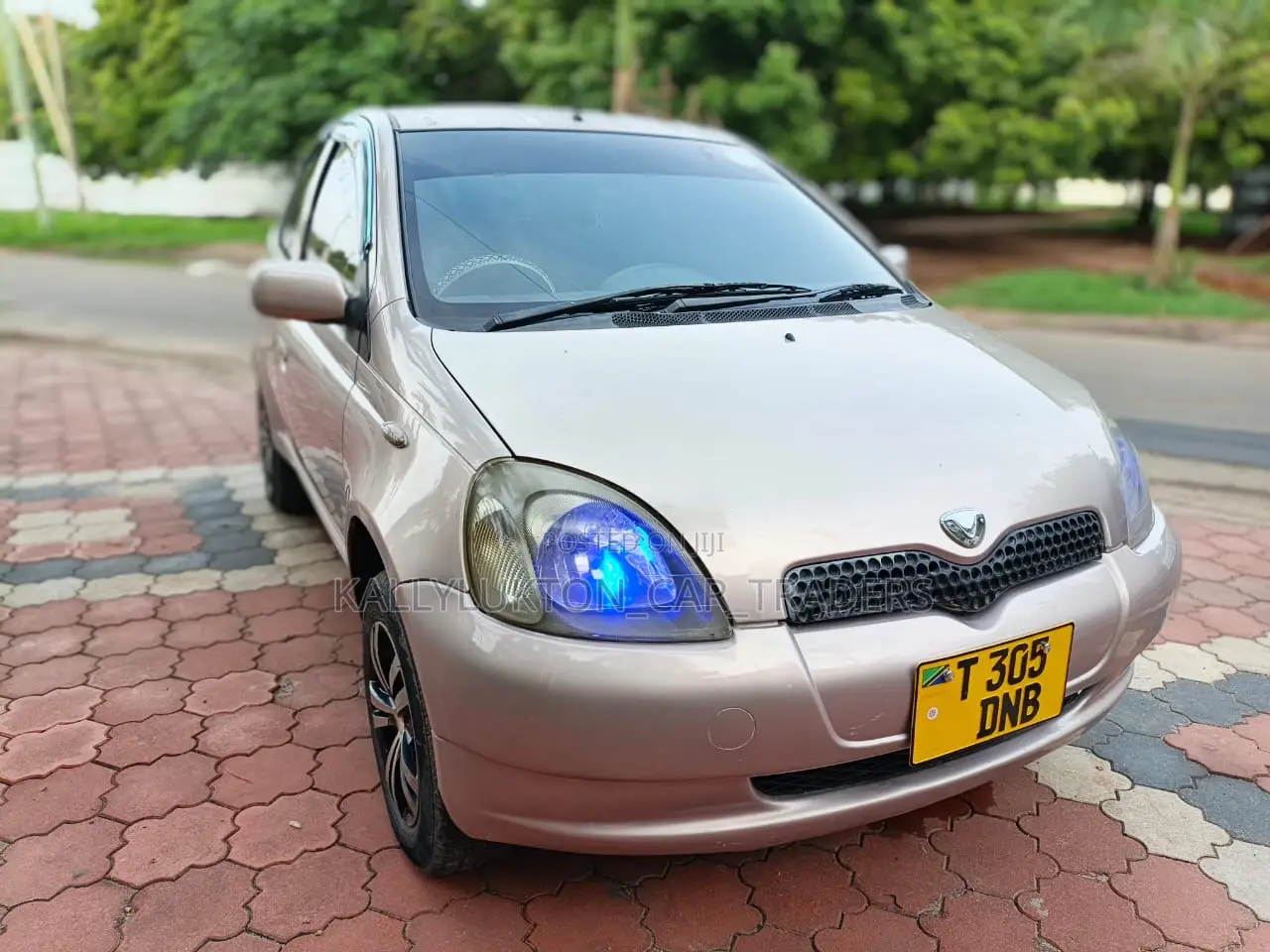 Toyota Vitz 2002 Pink