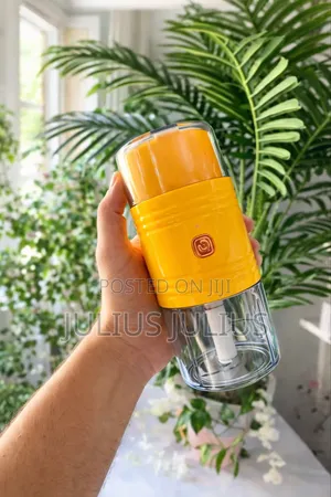 Portable Electric Food Chopper / Mini Food Processor 