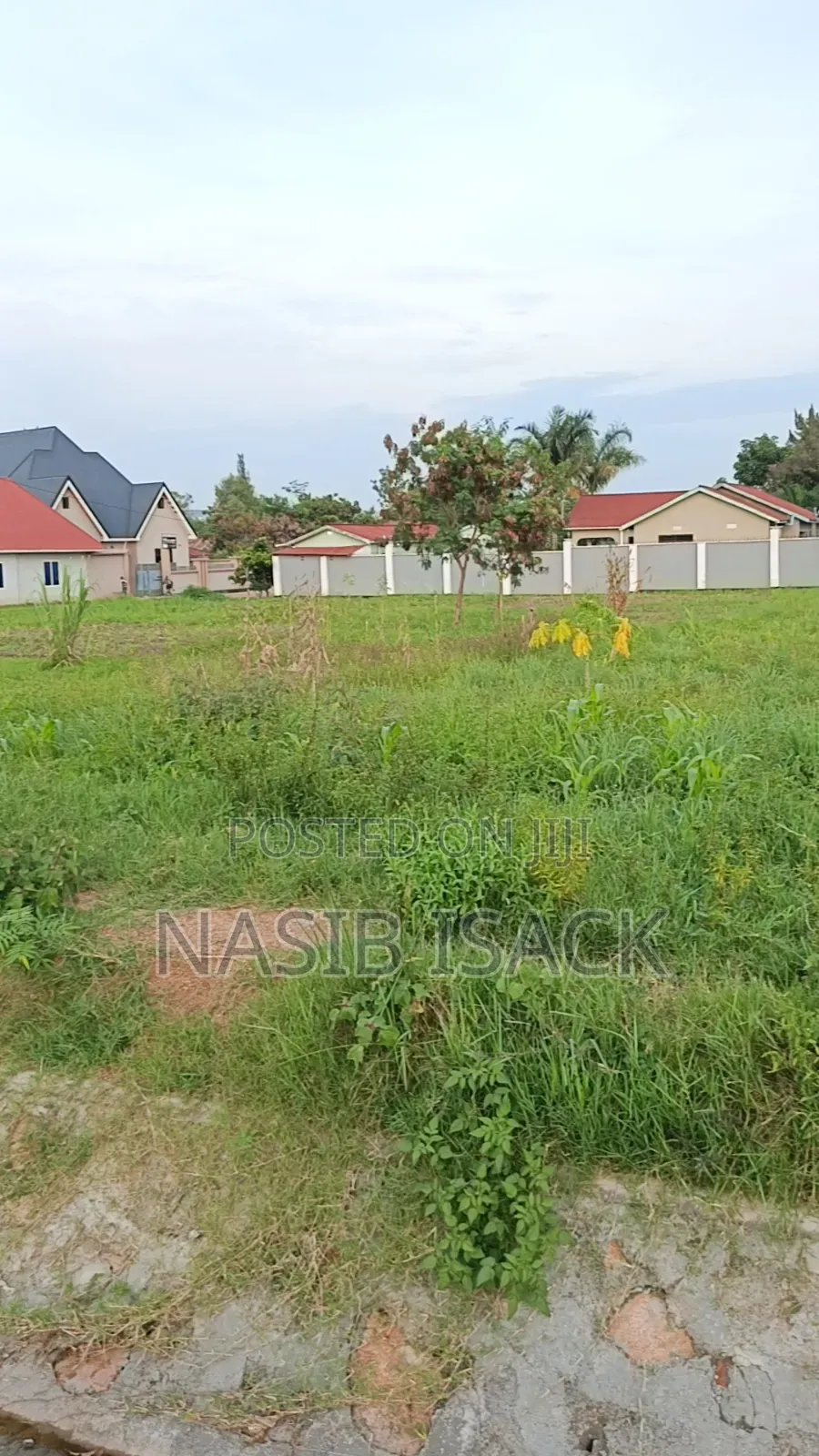Plot for Sale Nyamuhongoro