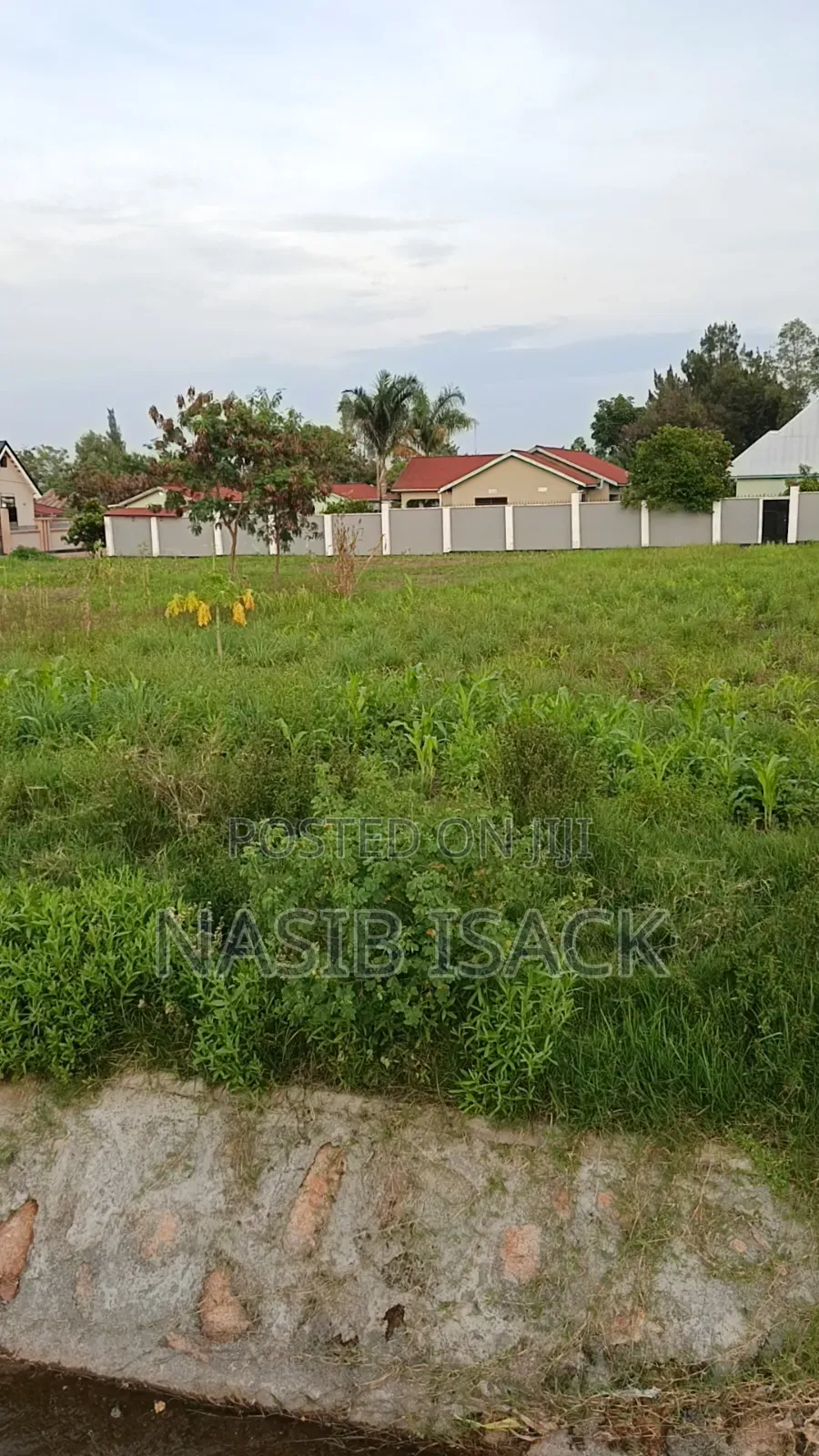 Plot for Sale Nyamuhongoro