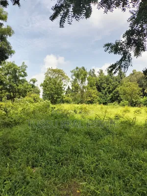 Commercial Property for Sale (Mwezi Bagamoyo Rd