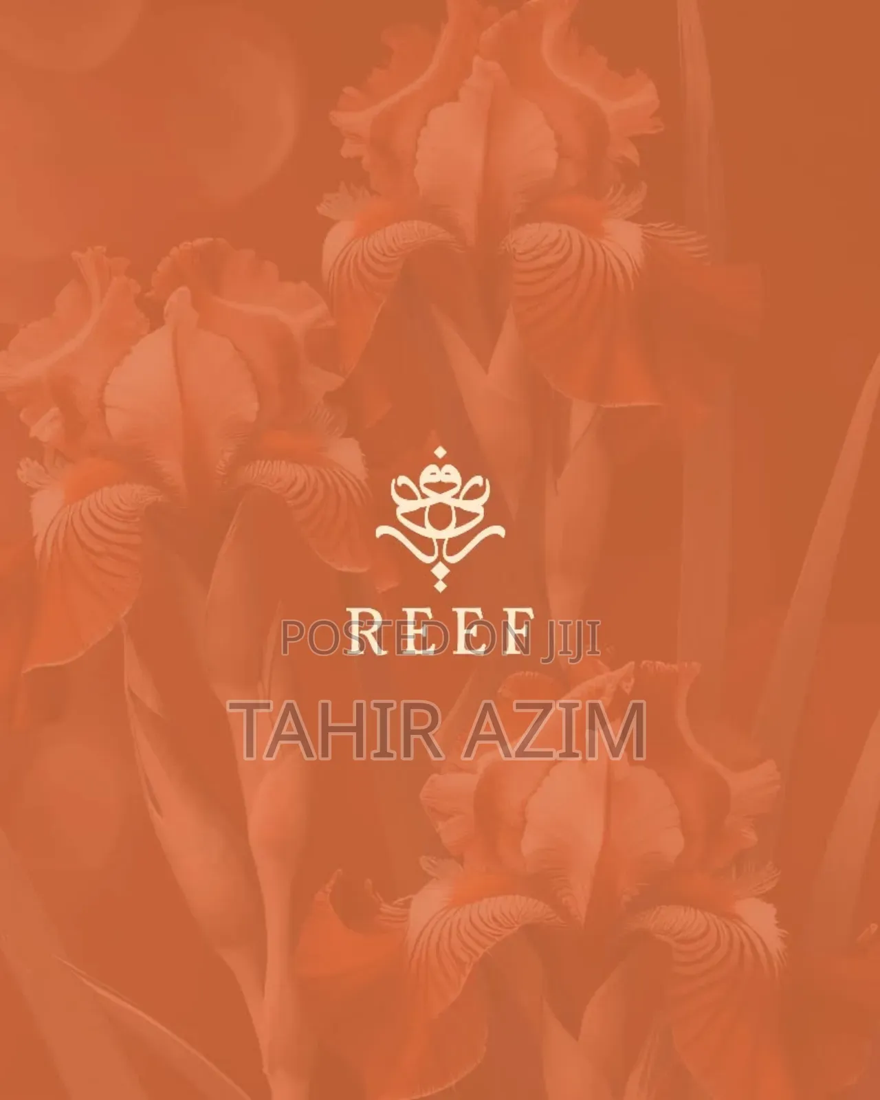 Reef 33 Black (Unisex)