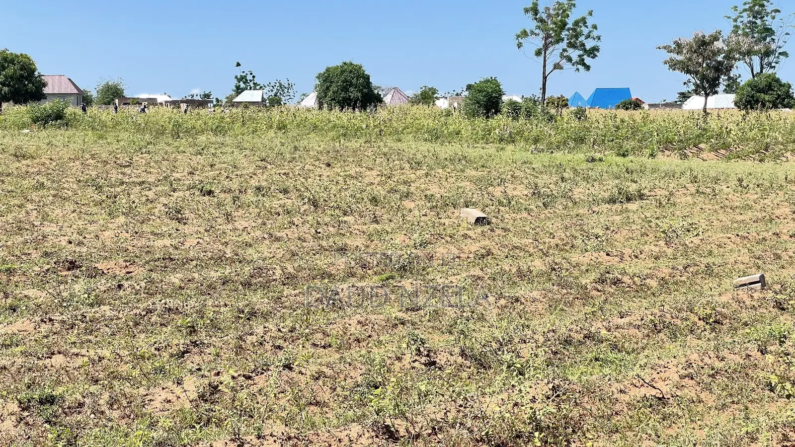 Pata Viwanja Vya Makazi Mwanza Vinauzwa