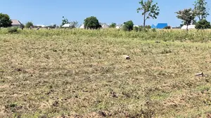 Pata Viwanja Vya Makazi Mwanza Vinauzwa