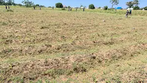 Pata Viwanja Vya Makazi Mwanza Vinauzwa