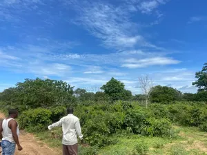 70 Acres Land for Sales TSH 20 Million/Acre at Kwala Bagamoyo, Pwani