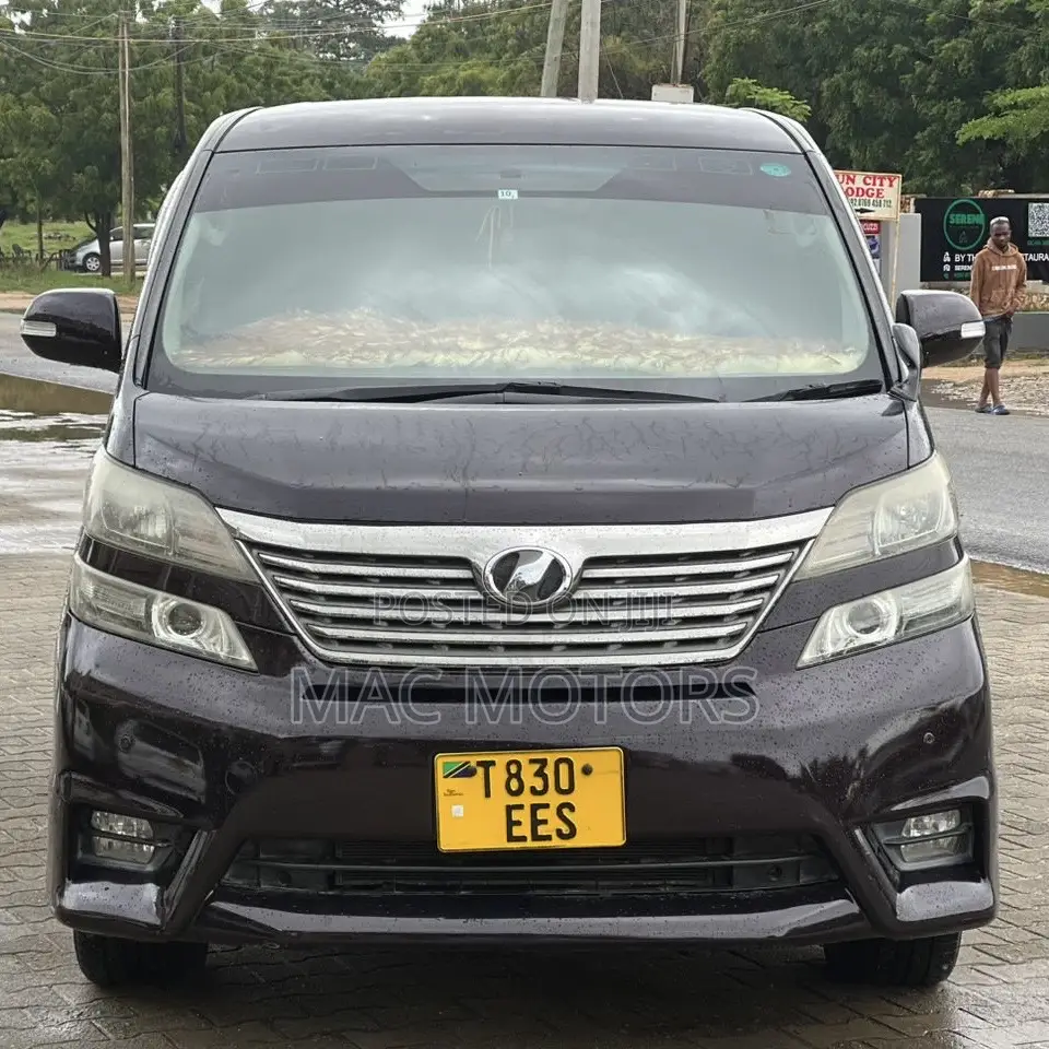 Toyota Vellfire 2009 Purple