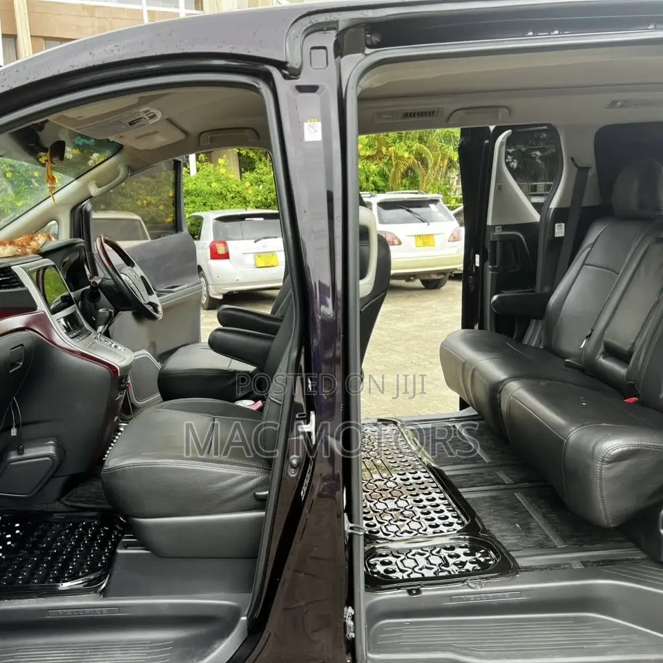 Toyota Vellfire 2009 Purple