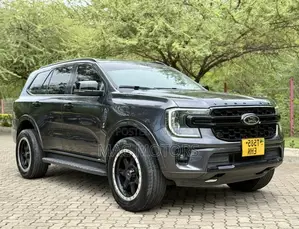 Ford Everest 2022 Gray