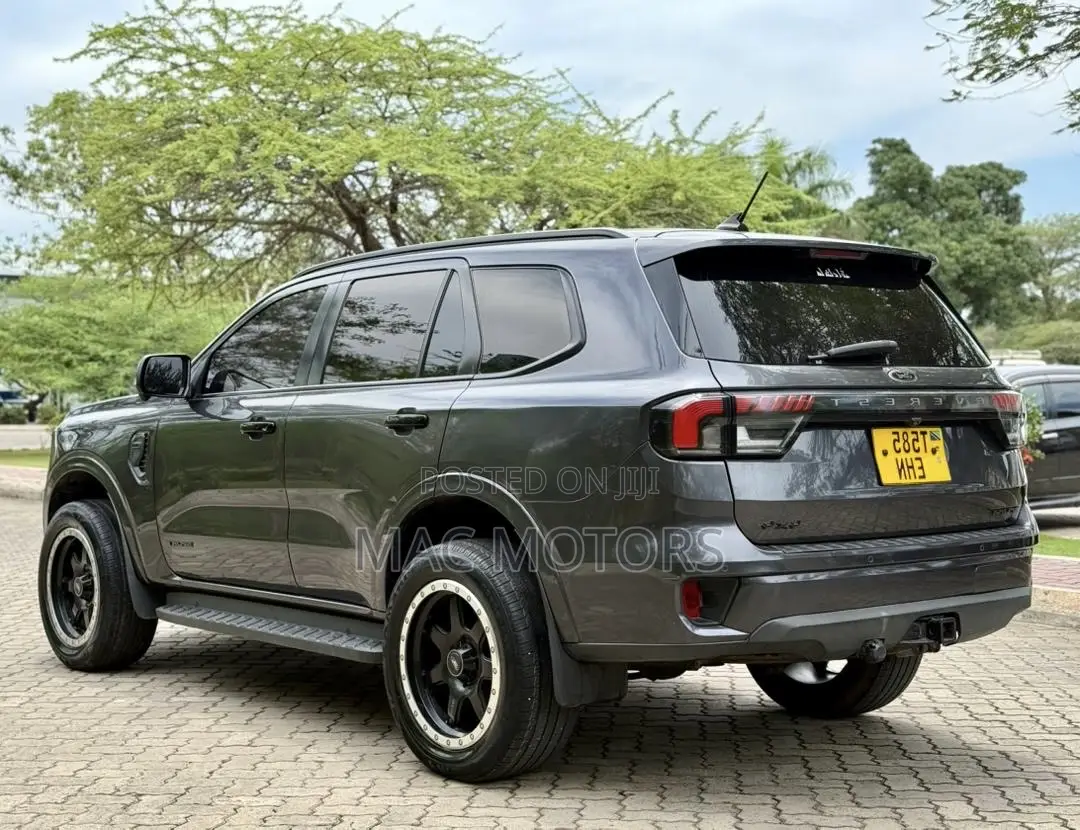 Ford Everest 2022 Gray