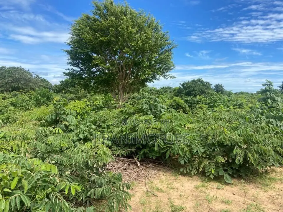 70 Acres Property for Sale at Kwala Kibaha