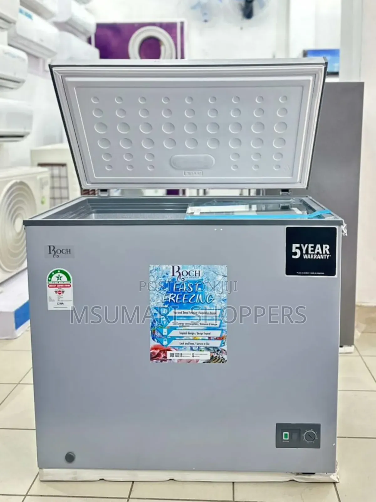Roch Chest Freezers ( 200 LTRS )