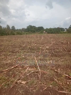 Plot for Sale