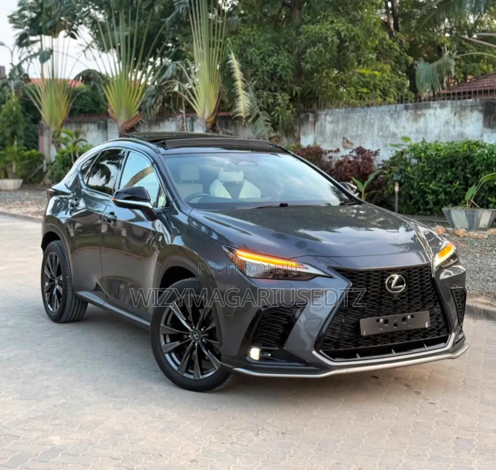 Lexus NX 350 F SPORT Handling AWD 2024 Teal