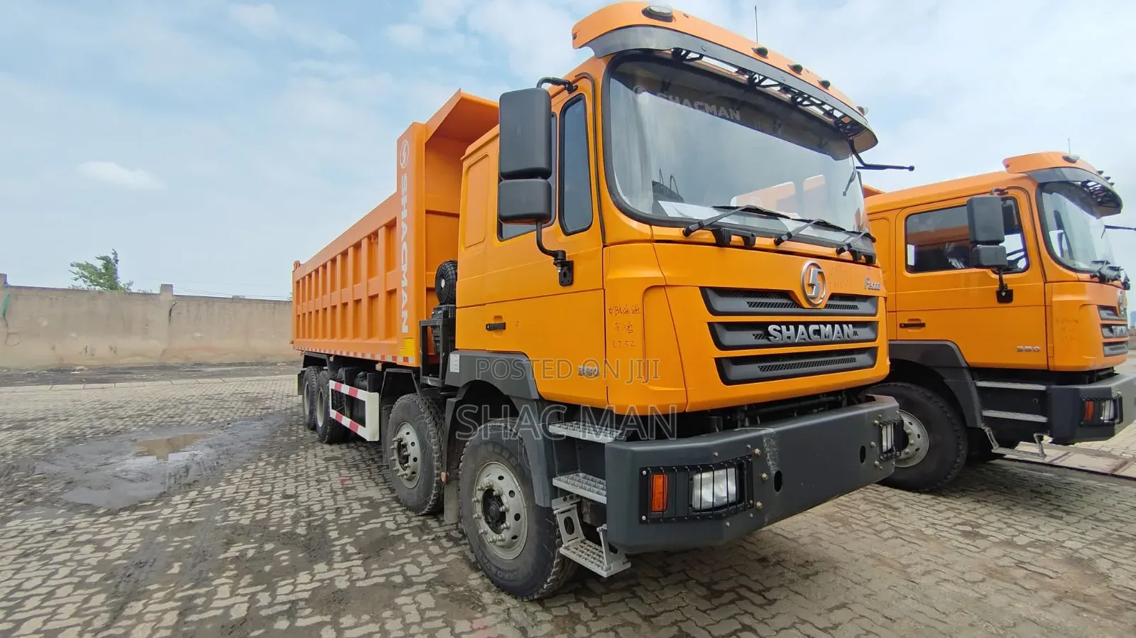 Dump Trucks for Sale Shacman