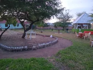 Safari Lodge