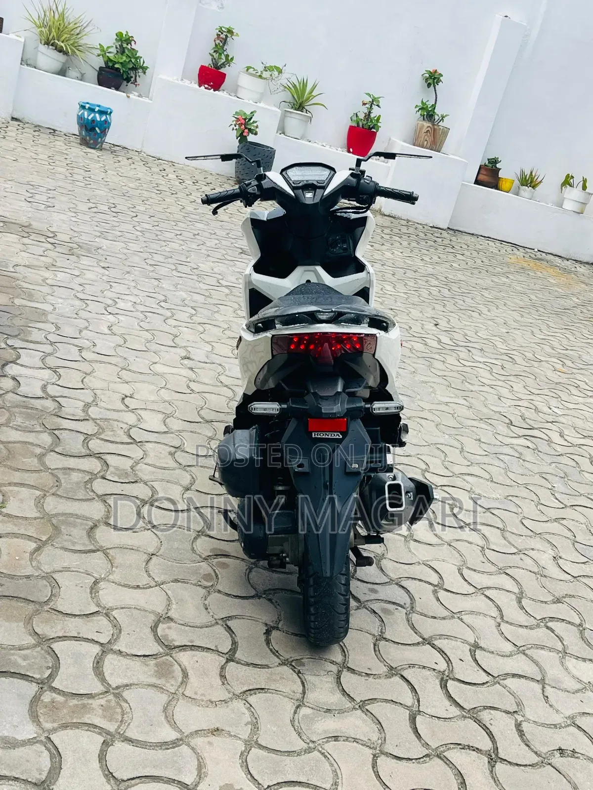 Honda CB 2025 White
