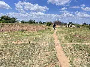 Viwanja Vinauzwa Mwanza
