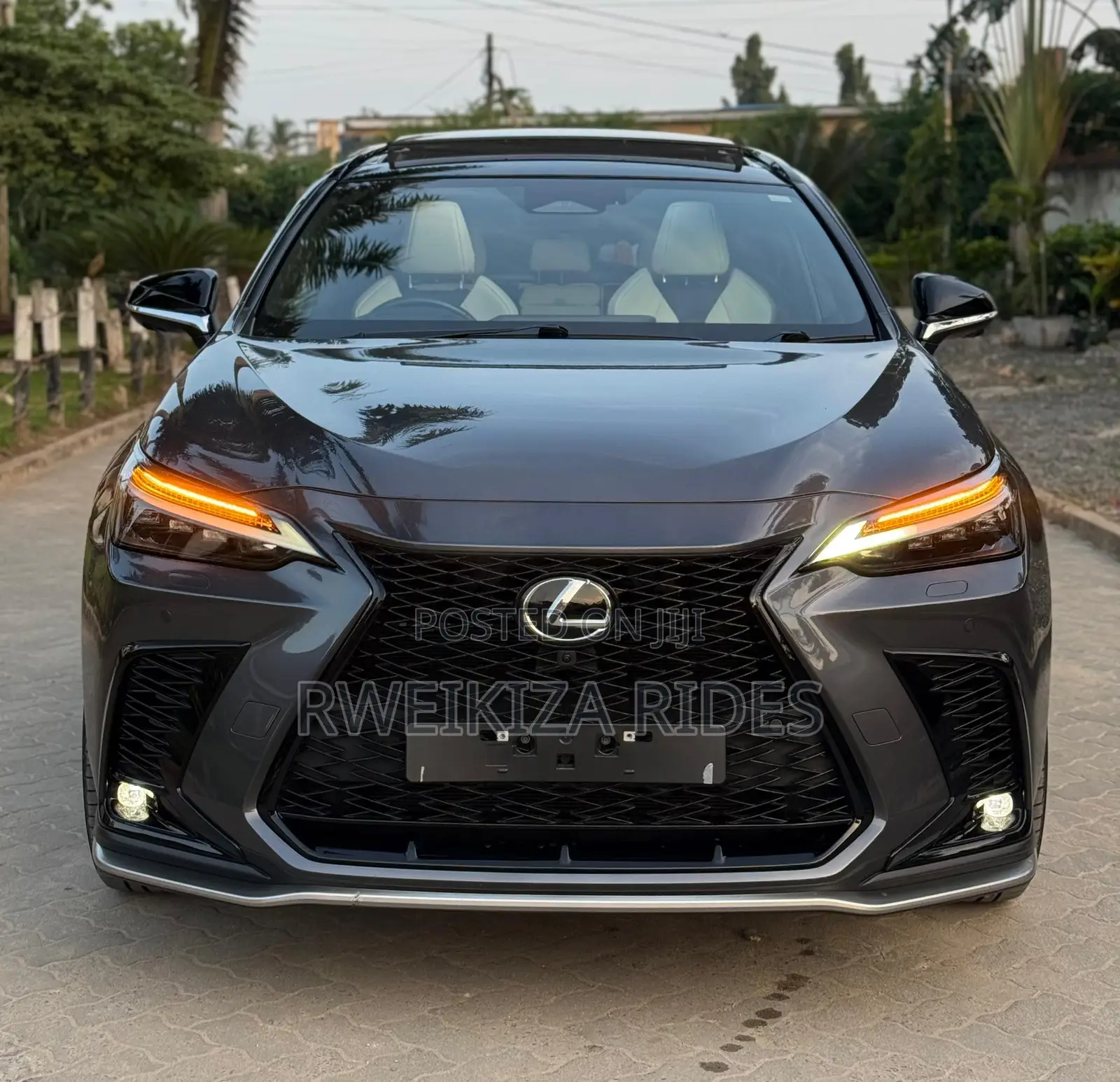 Lexus NX 2024 Gray