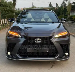 Lexus NX 2024 Gray