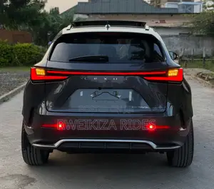 Lexus NX 2024 Gray