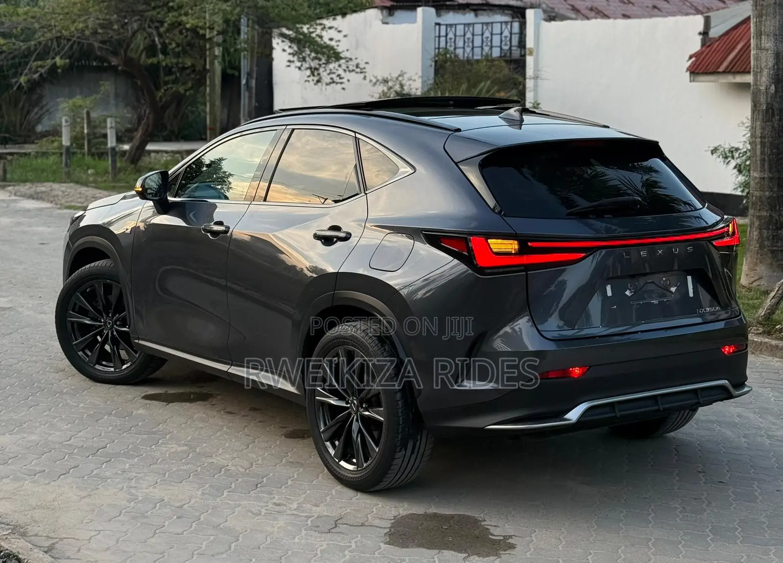 Lexus NX 2024 Gray
