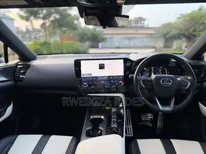 Lexus NX 2024 Gray