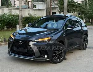 Lexus NX 2024 Gray