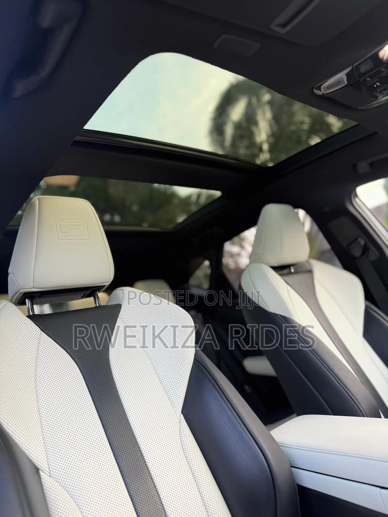 Lexus NX 2024 Gray
